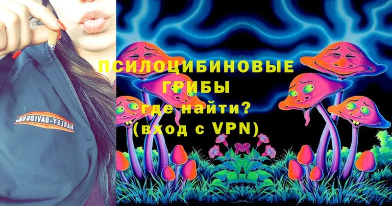 Галлюциногенные грибы Psilocybine cubensis  blacksprut ссылка  Мирный 